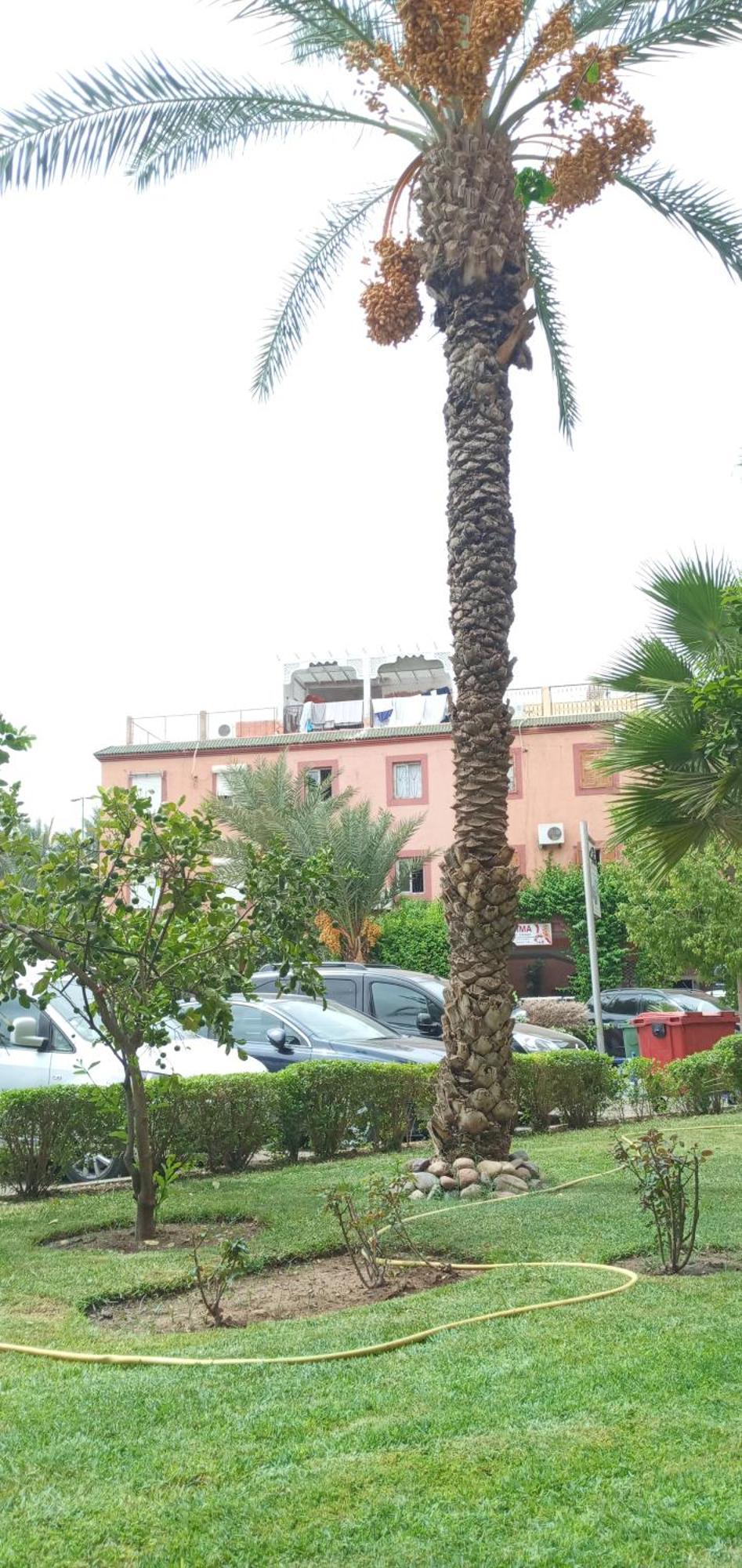 Red Moon Kech 2Km Du Centre-Ville Marrakesh Exterior photo
